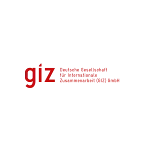 Deutsche Gesellschaft für Internationale Zusammenarbeit GmbH (GIZ)